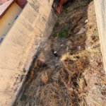 Terreno à venda em Vila Roma, Salto, SP