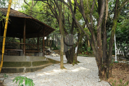 Vila Arboreto, 3 suítes, terraço gourmet. lindo!