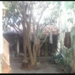 Terreno à venda com 2 quartos em Santana, São Paulo, SP