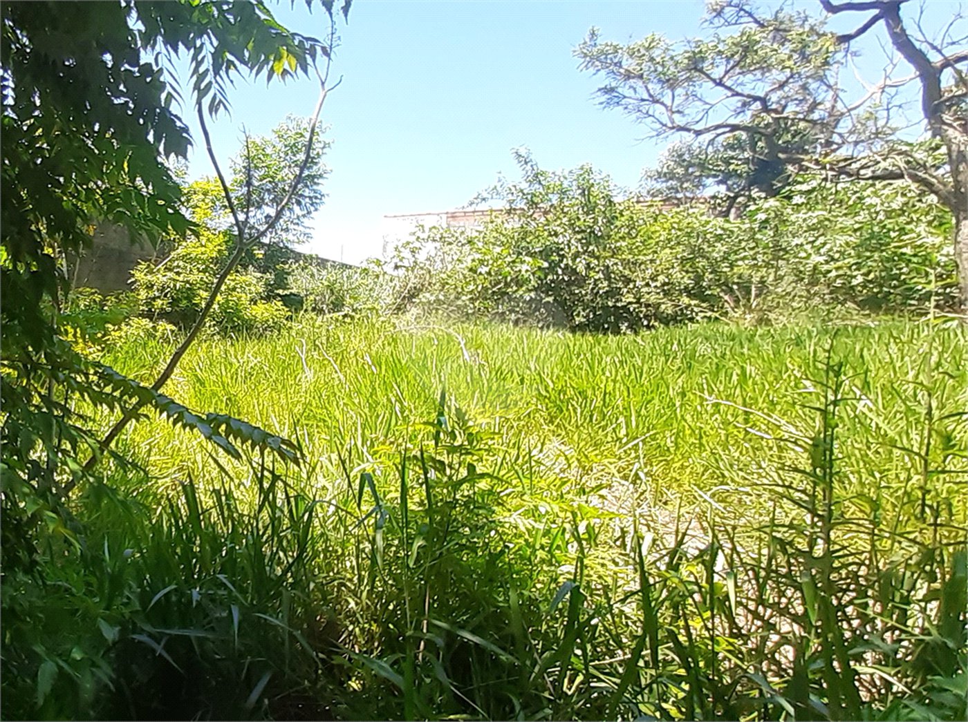 Terreno à venda em Jardim Shangri-lá, Atibaia, SP