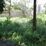 Terreno à venda em Jardim Floresta, São Paulo, SP