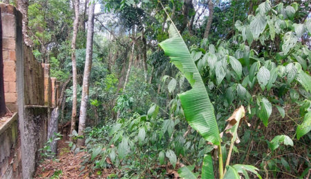 Condomínio à venda em Caraguatá, Mairiporã, SP