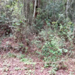 Terreno à venda no condomínio Alpes da Cantareira, Mairiporã - SP
