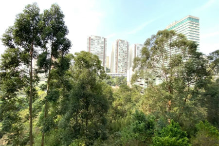 Apartamento à venda com 2 quartos, sendo 1 suíte,  em Jardim Caboré, São Paulo, SP