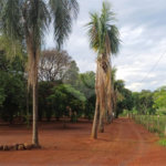Chácara à venda com 1 quarto no Centro, Araraquara, SP