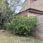 Casa Térrea à venda com 1 suíte em Vossoroca, Votorantim, SP