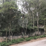 Terreno à venda em Serra da Cantareira, Mairiporã, SP