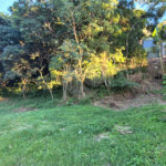 Terreno à venda em Geribá, Armação dos Búzios, RJ