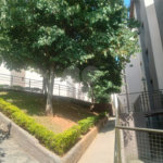 Apartamento à venda com 2 quartos em Jardim São Luis, Guarulhos, SP