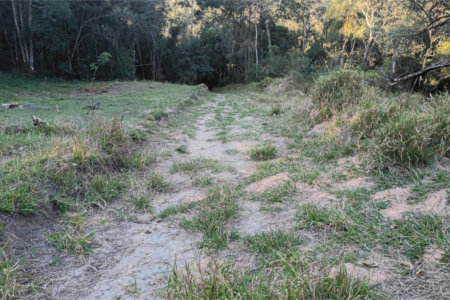 Terreno à venda em Vila Darcy Penteado (mailasqui), São Roque, SP