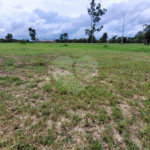 Loteamento Residencial no Condomínio Vila Pinhal do Broa