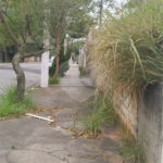 Terreno na rua Alcindo Bueno de Assis, localizada no bairro do Tucuruvi /Tremembé em São Paulo. Agende uma visita