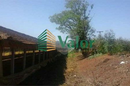 Sítio Estrada São Carlos Ribeirão - próximo São Carlos
