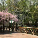 Sobrado em Meio à Natureza no Condomínio São Joaquim – Vinhedo/SP
