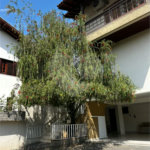 Sobrado amplo e completo na Vila Oliveira – Mogi das Cruzes