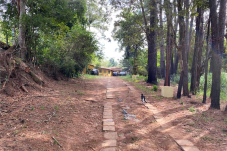Excelente imóvel rural, situado em Analândia/SP