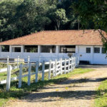 Lindo sítio a venda em Itatiba REF 968157