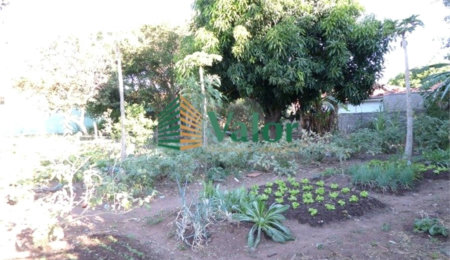Terreno à venda em Vila Izabel, São Carlos, SP
