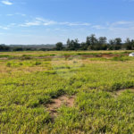 Lote a venda no Essenza