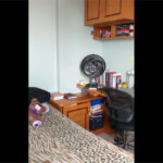 Apartamento a venda na Mooca