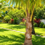 CASA DE ALTO PADRÃO A VENDA NA PRAIA DO GUAECÁ