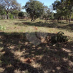 Terreno no Aracê de Santo Antonio.