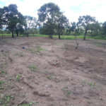 Terreno com 2.012,00 m² .