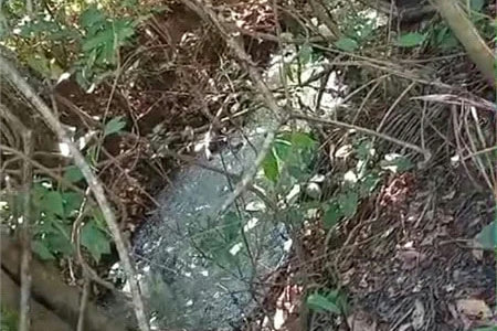 Fazenda à venda com 2 quartos no Centro, Estreito, MA