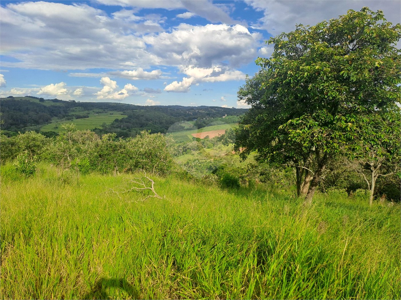 Terreno à venda em Arataba II, Louveira, SP