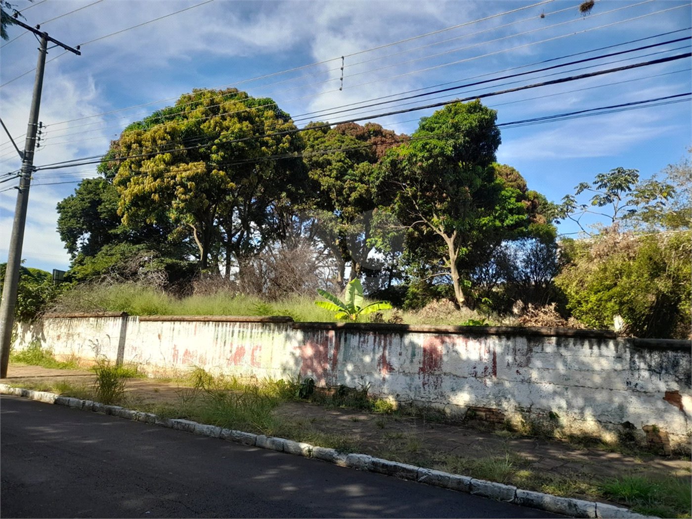 Terreno Comercial à Venda na Av. Teixeira de Barros – Rua Larga
