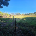 Sitio Granjeiro região de Água Vermelha 6,5 Alqueires (16,5 Hectares)
