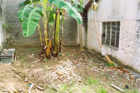 Oportunidade perfeita para quem deseja empreender, terreno de 250 m² por apenas R$ 2.500 mil/mês