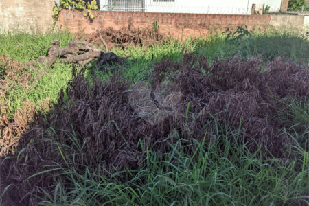 Terreno com 410,00 m² no bairro Vila Costa do Sol.