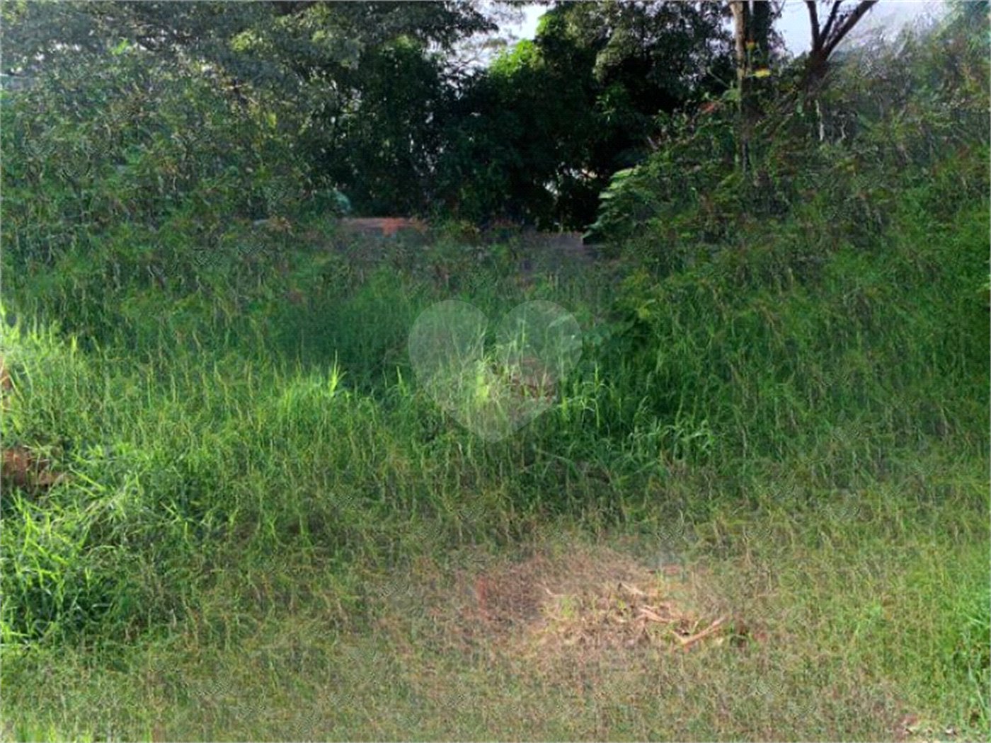 Terreno Residencial no Aracy