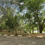 TERRENO DIFERENDIADO À VENDA NO CONDOMÍNIO PORTO ATIBAIA – ATIBAIA/SP