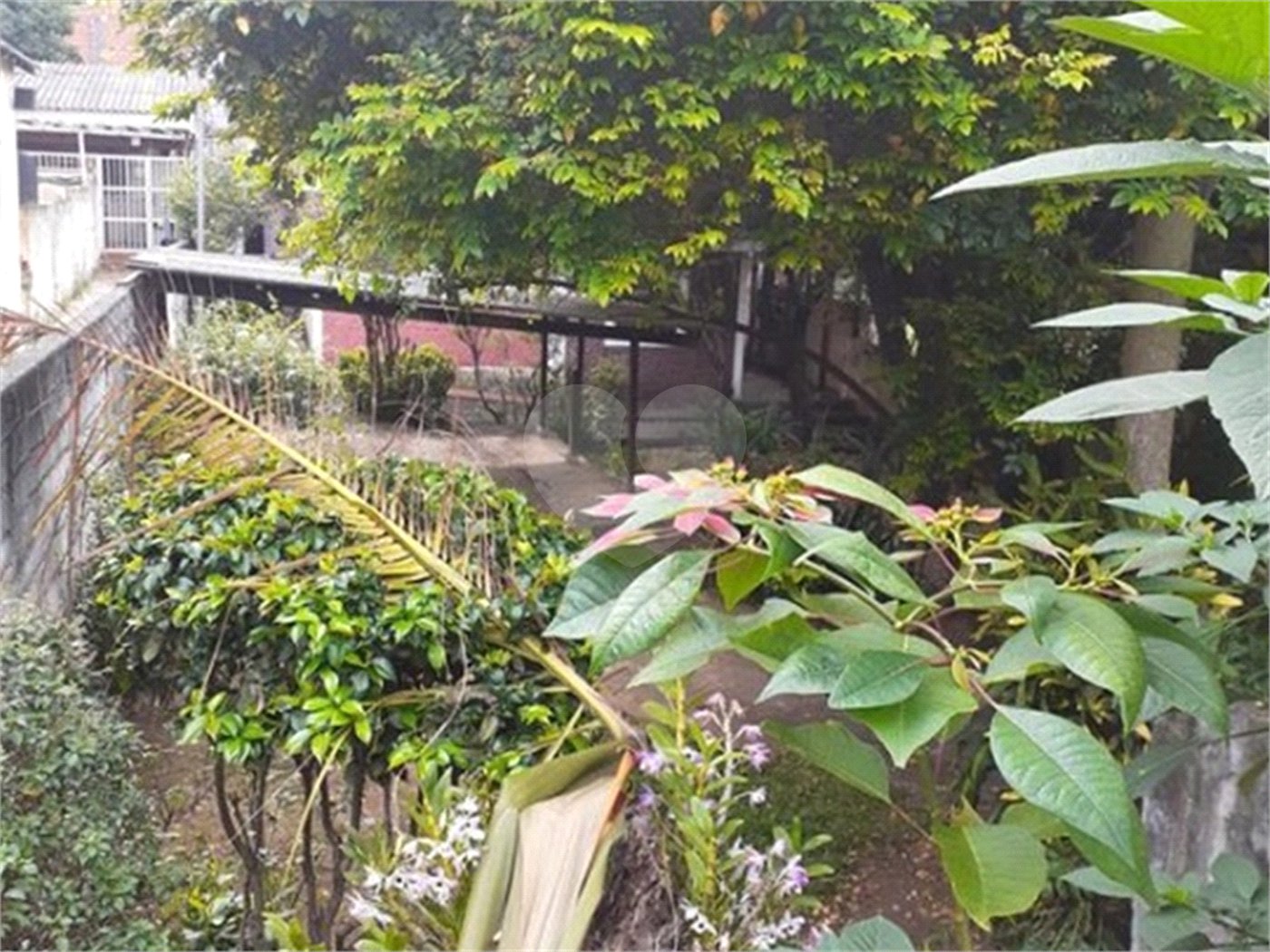 Casa Térrea à venda com 6 quartos, sendo 1 suíte, em Pirituba, São Paulo, SP