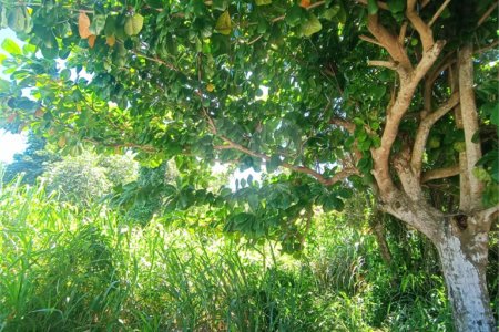 Terreno á Venda em Condomínio no Bairro Caravelas, Armação dos Búzios