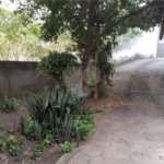 Casa Térrea à venda com 6 quartos, sendo 1 suíte, em Pirituba, São Paulo, SP