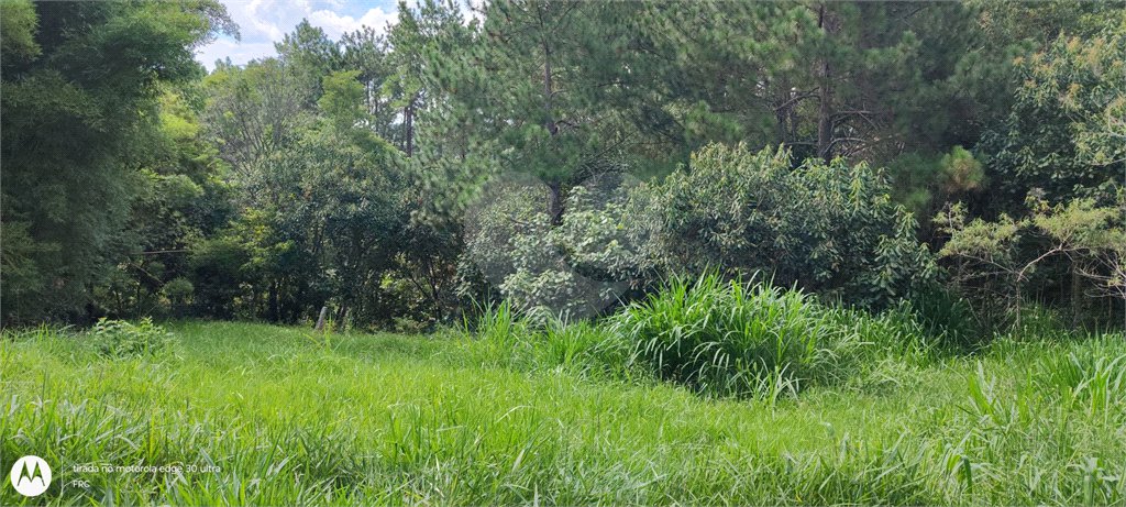 GLEBAS RURAIS EM PIRACAIA A PARTIR 20.000 M², EXCELENTE PARA CHÁCARAS E FAZENDINHAS