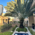 Apartamento Alto Padrão Lazer Completo ,3 suítes com 4 vagas, 250 m² à venda no Parque da Mooca.
