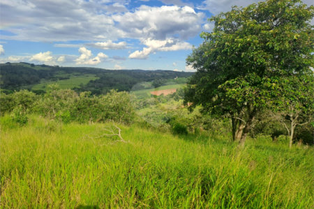Terreno à venda em Arataba II, Louveira, SP