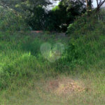 Terreno Residencial no Aracy