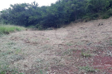 Terreno com 453,50 m² de área total.