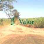Sítio Estrada São Carlos Ribeirão - próximo São Carlos