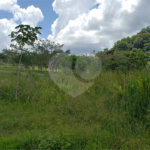 Sitio para venda.