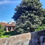Terreno para venda na Rua 13 de maio