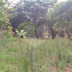 Chácara para venda no Aracê de Santo Antonio I