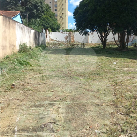 Terreno 784m² proximo à Santa Casa e a USP - Investimento