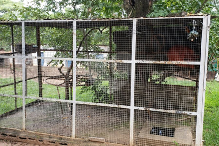 Sitio para venda.