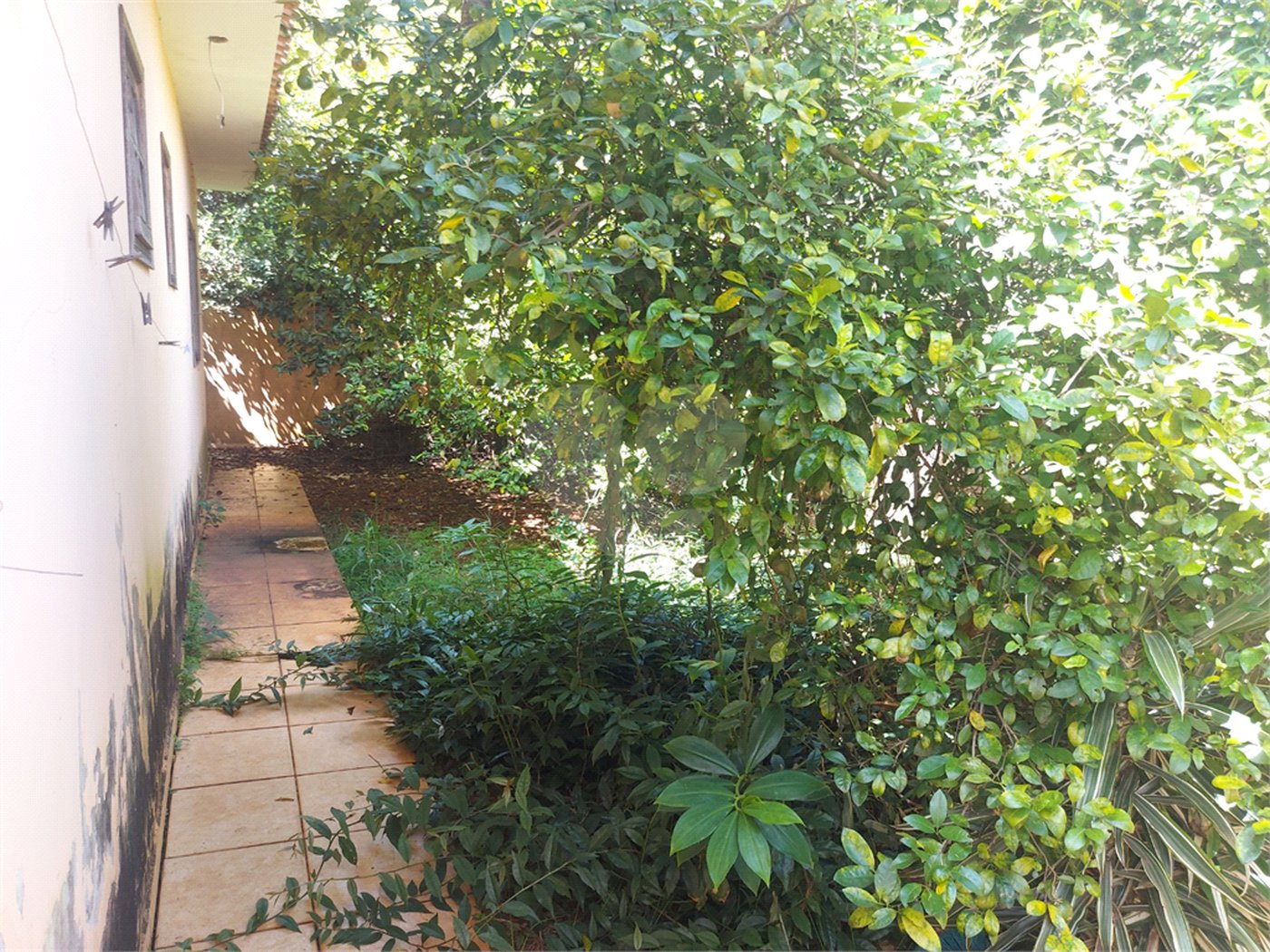 Casa térrea com piscina no Residencial Samambaia.